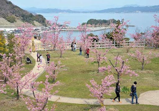 城山歴史公園・上関城跡の画像